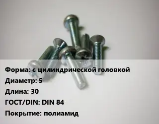 Винт с цилиндрической головкой 5х30 DIN 84 полиамид